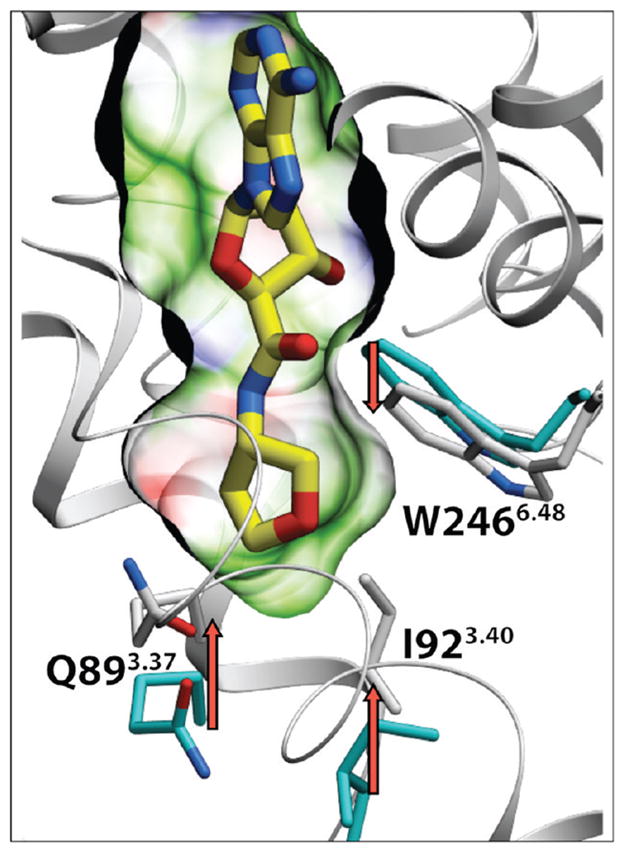 Figure 6