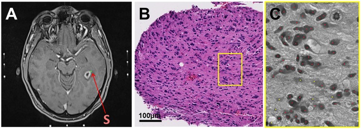 Fig 3