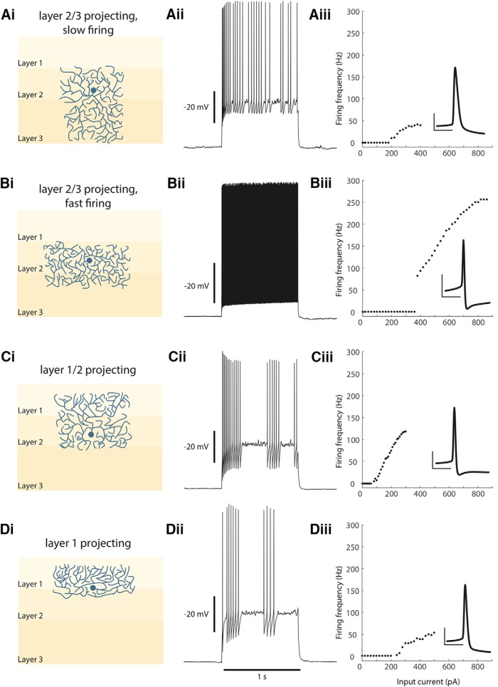 Figure 10.