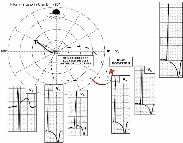 Figure 8