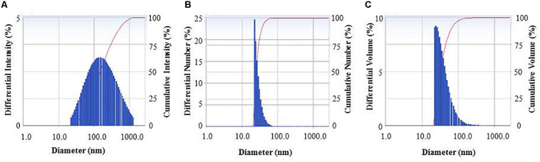 FIGURE 6