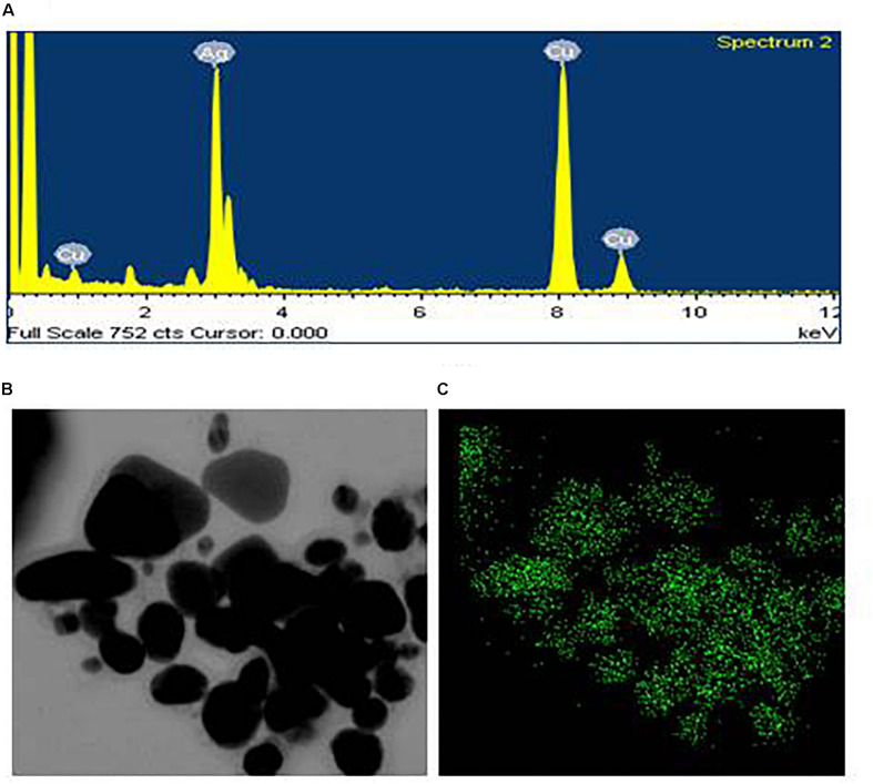 FIGURE 3