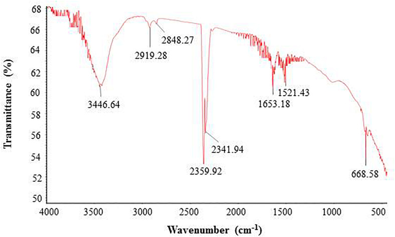 FIGURE 5