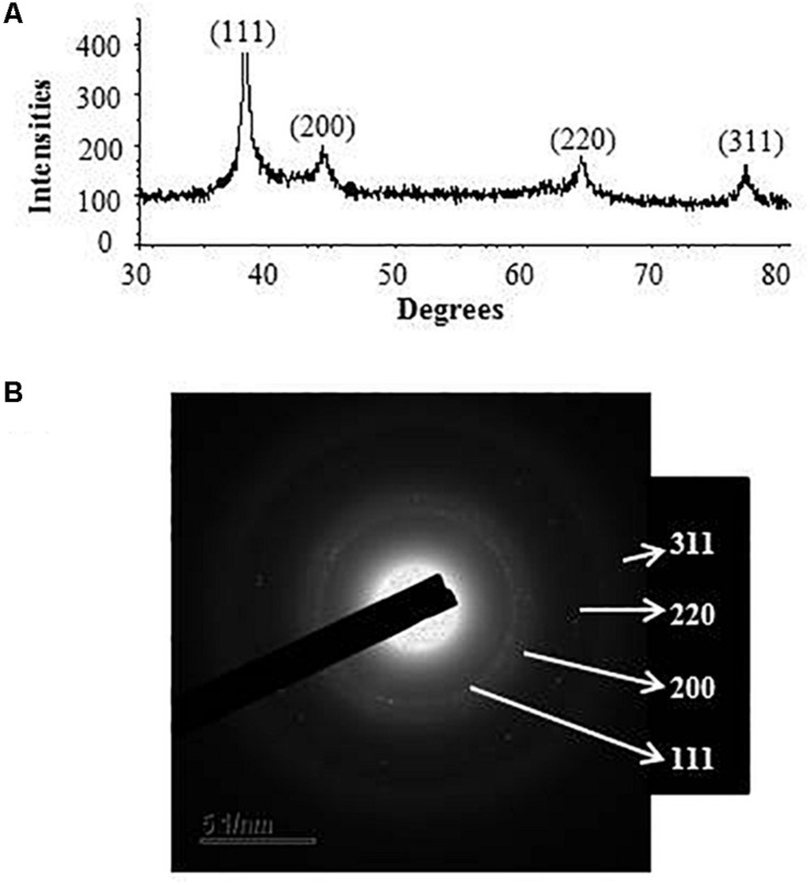 FIGURE 4