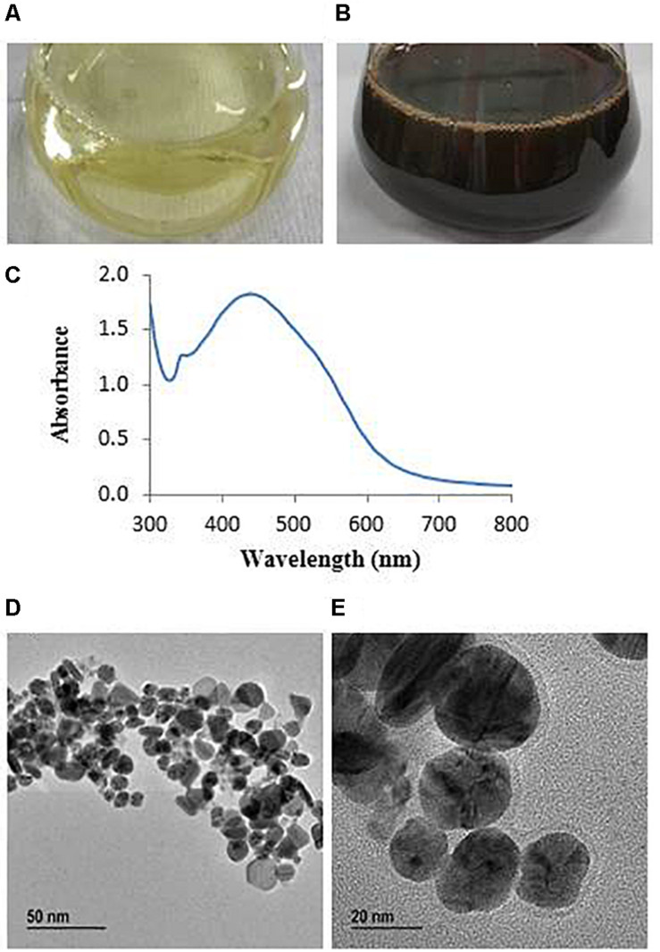 FIGURE 2