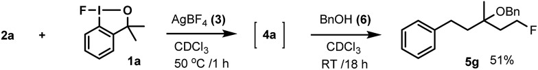 Scheme 5