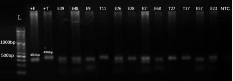 Fig. 2: