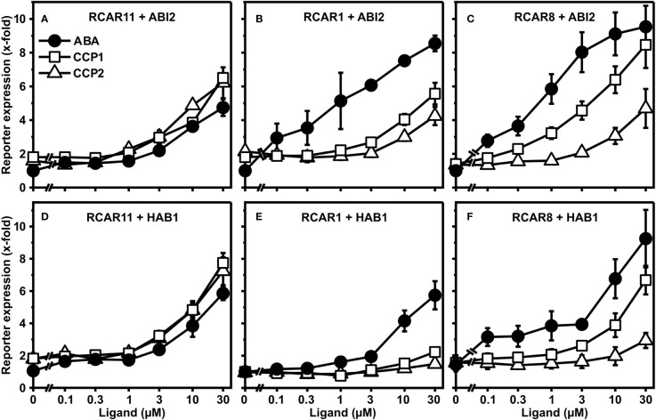 Figure 2