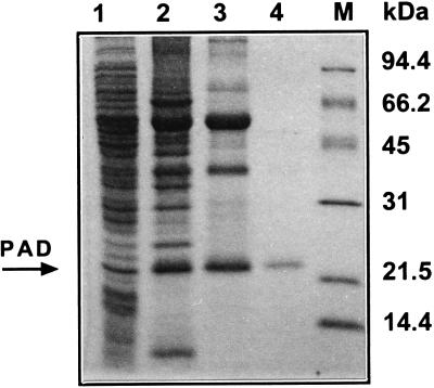 FIG. 6