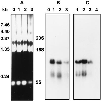 FIG. 5