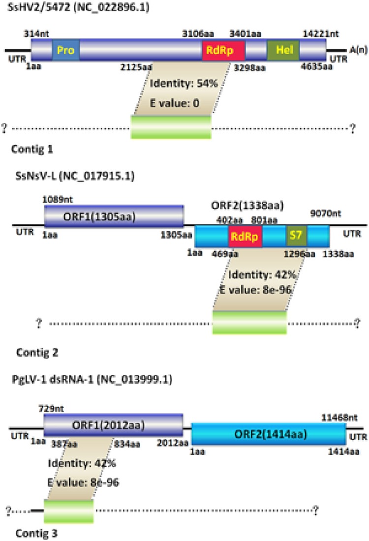 FIGURE 10