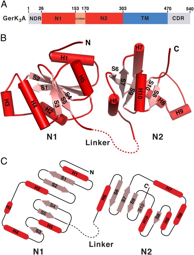 Fig. 1.