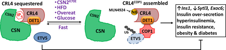 Fig. 8