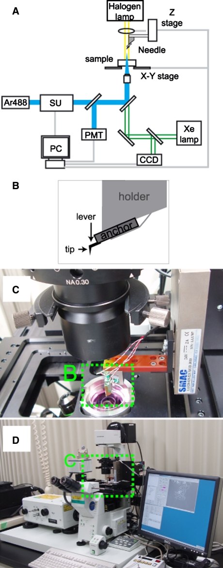 Fig. 1