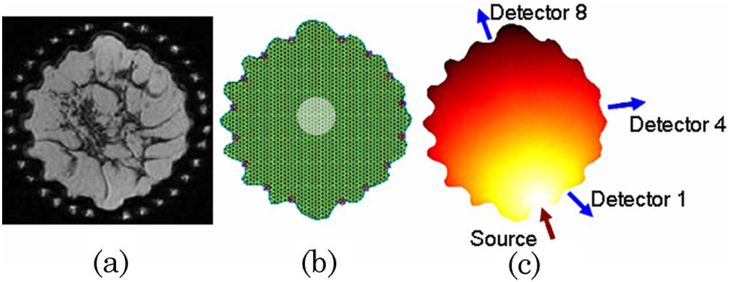 Fig. 1