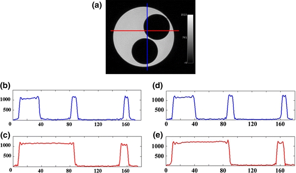 Figure 13