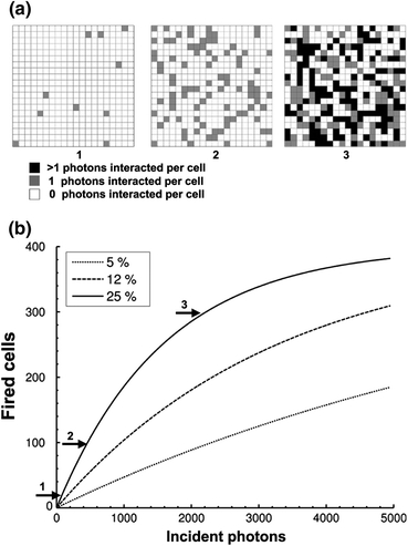 Figure 7