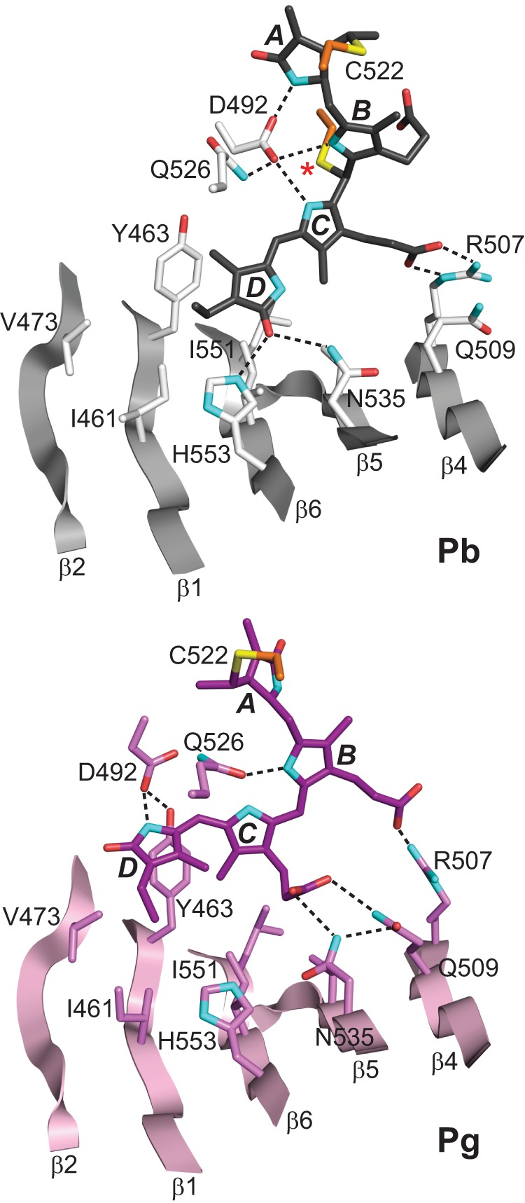 FIGURE 4.