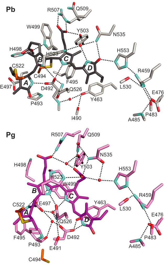 FIGURE 5.