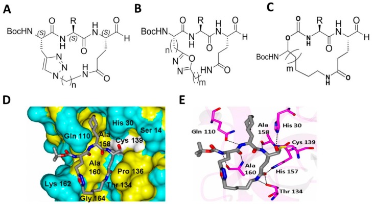 Figure 10