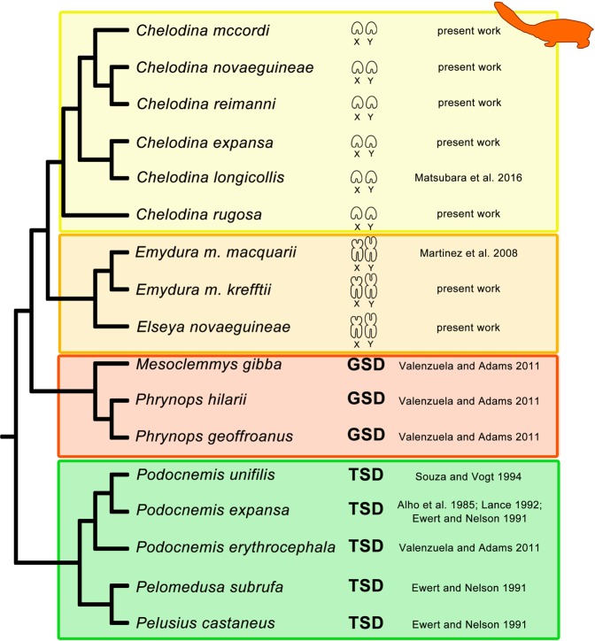 Figure 7