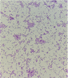 Fig. 2.