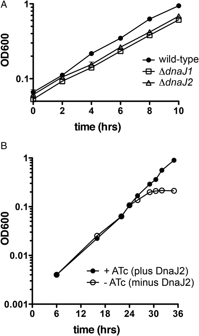 Fig. 5.