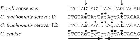 FIG. 7.