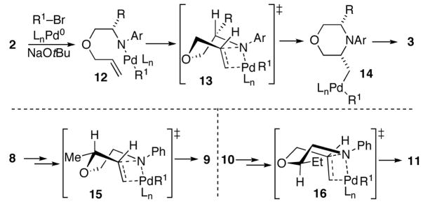 SCHEME 3