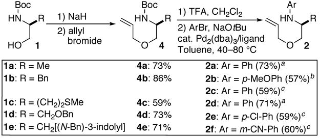 SCHEME 2