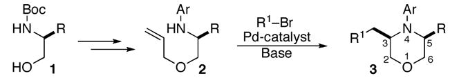 SCHEME 1