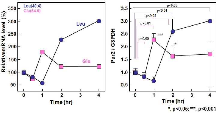 Fig. 9.