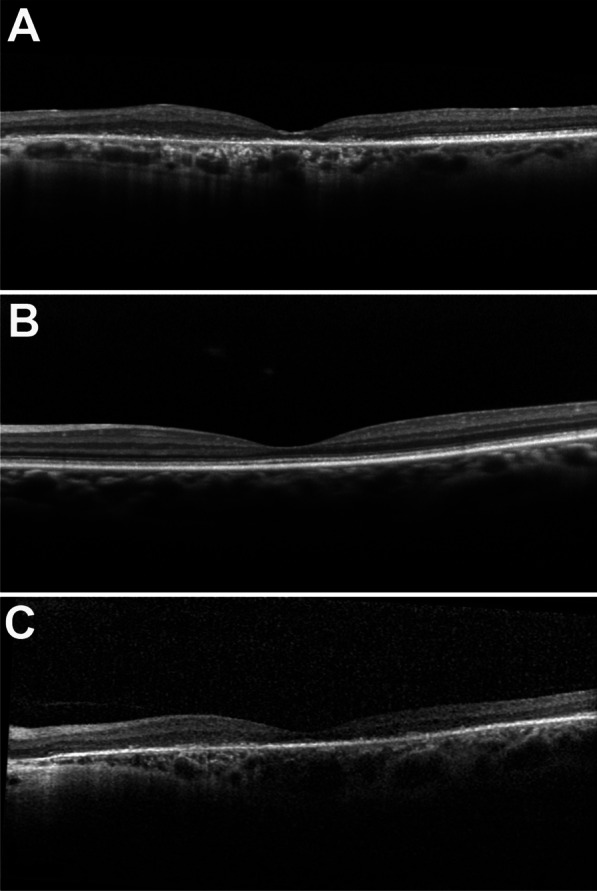 Fig. 4