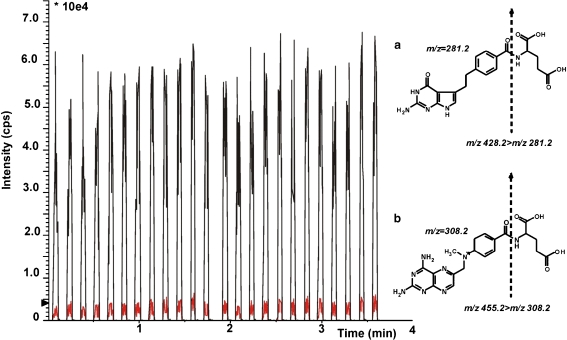 Fig. 1