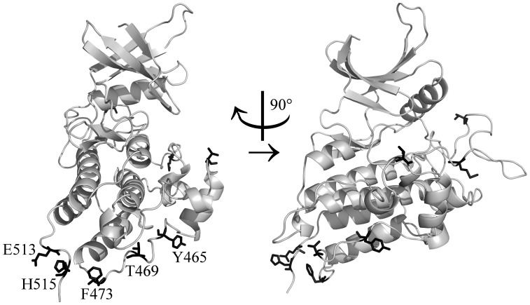 Figure 5