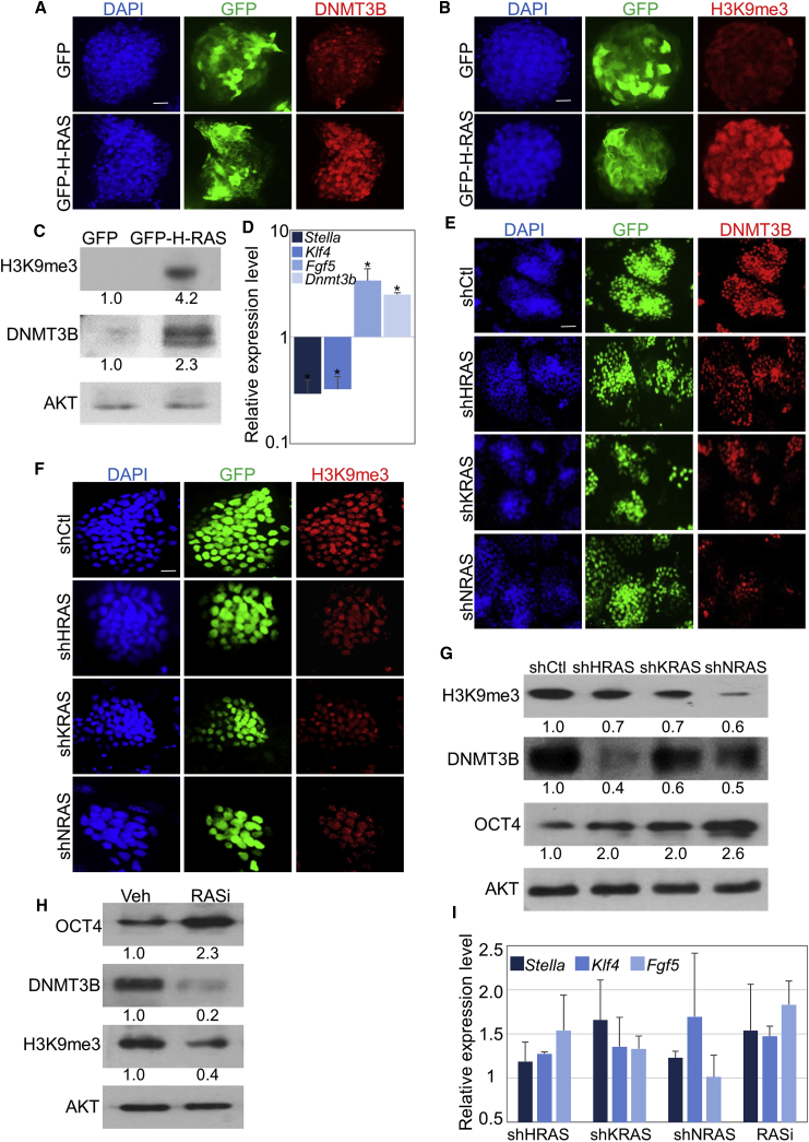 Figure 4