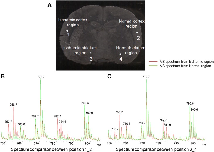 Fig. 2.