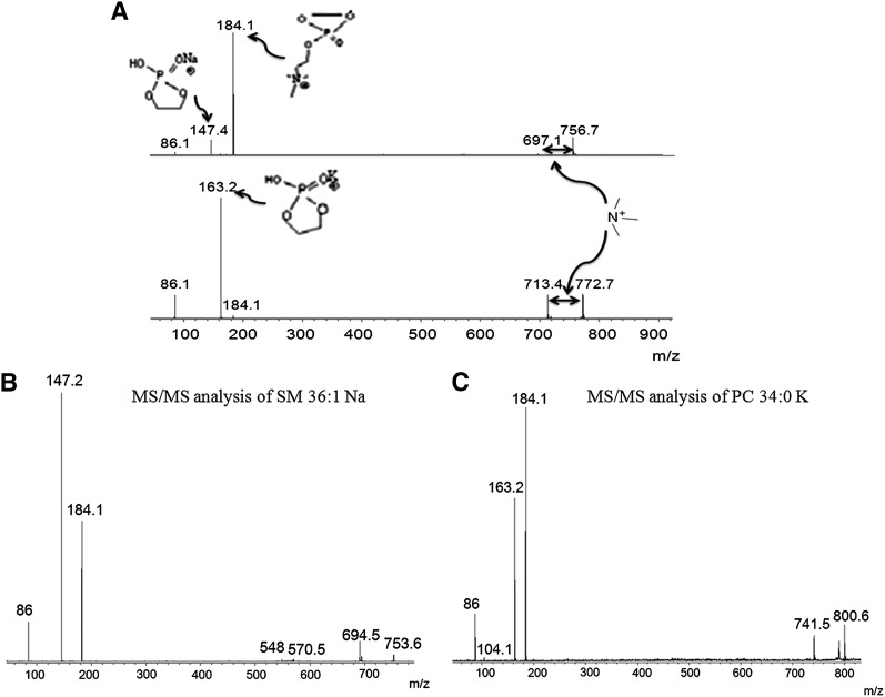 Fig. 4.