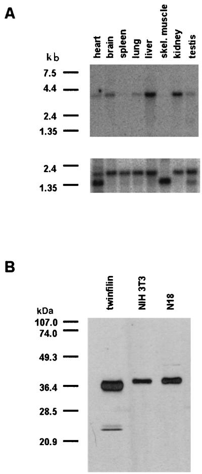 FIG. 5