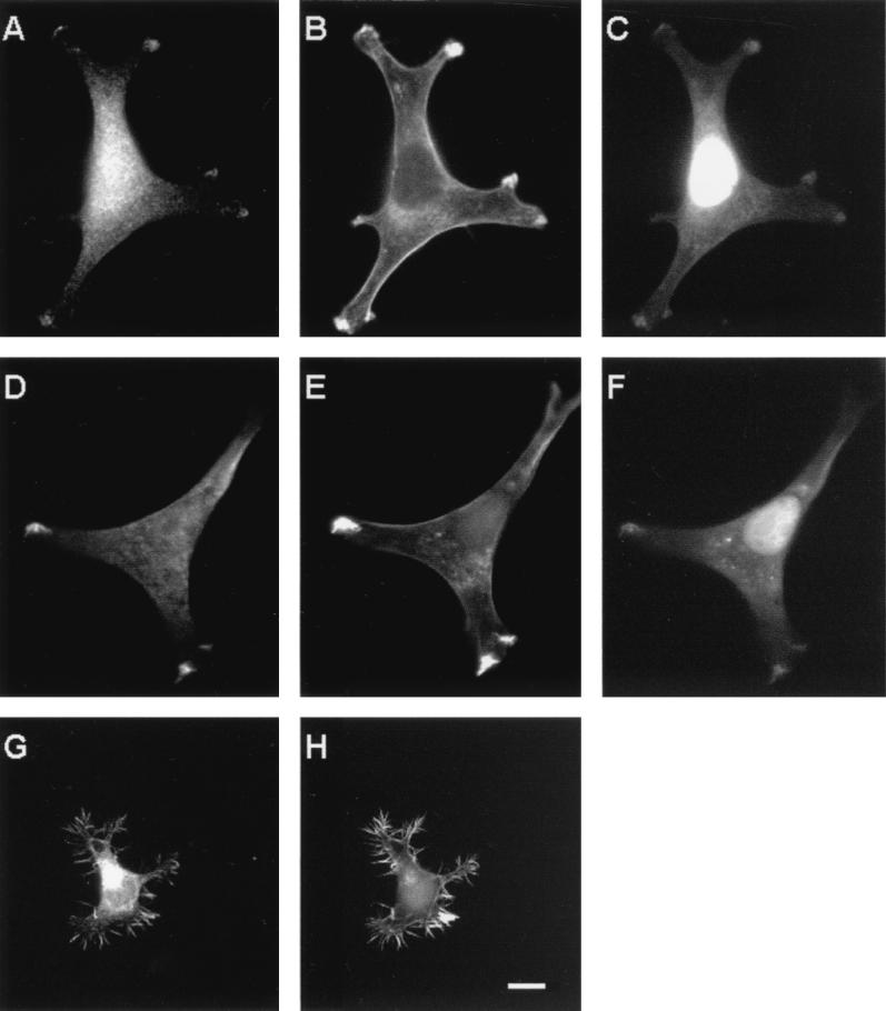 FIG. 6