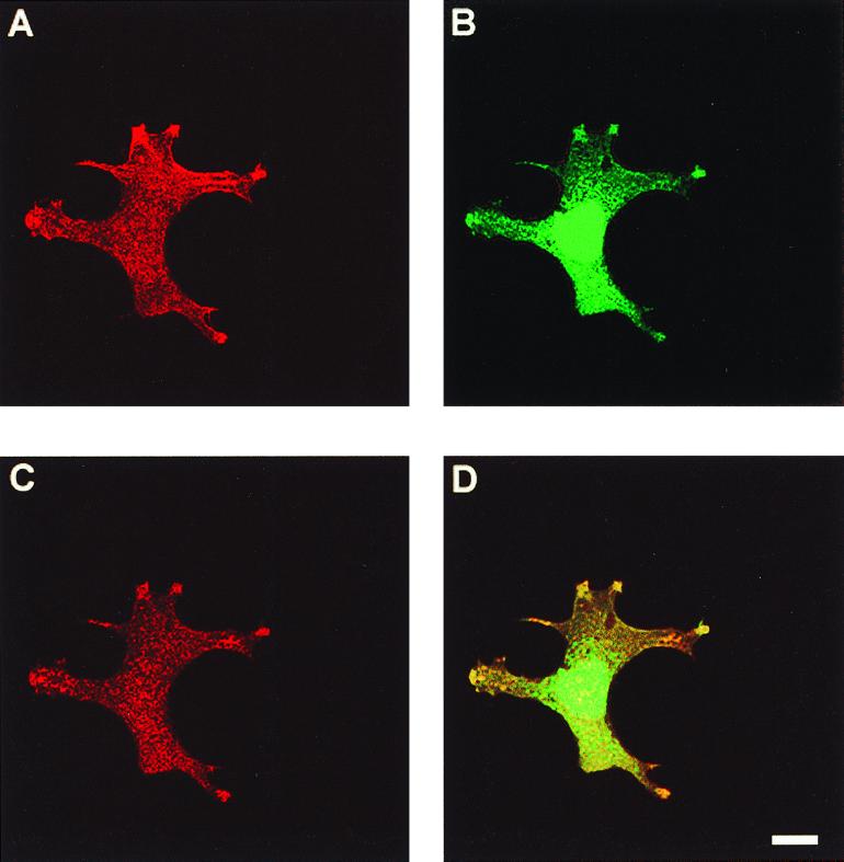 FIG. 7