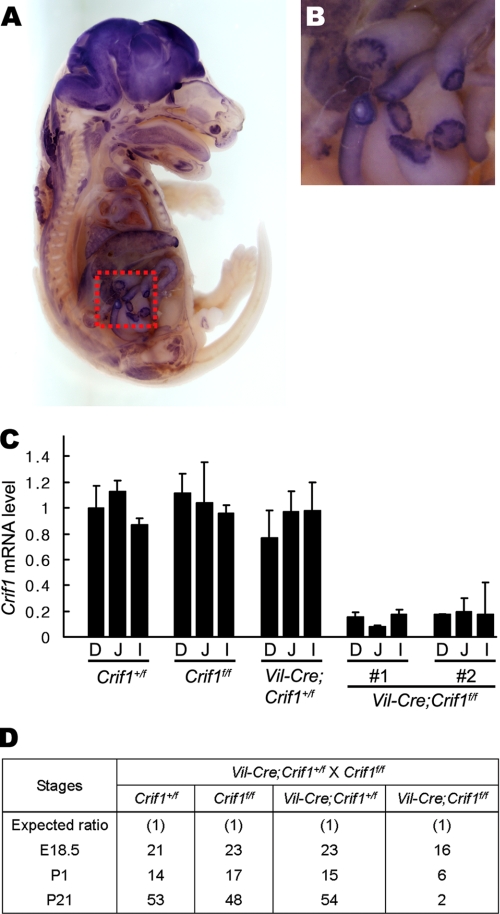 FIGURE 1.