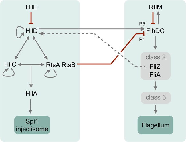 FIG 4