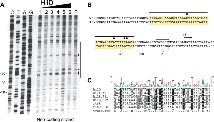 FIG 3