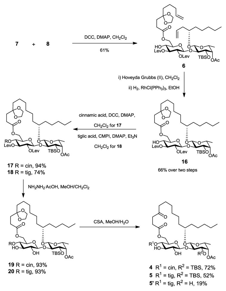 Scheme 4