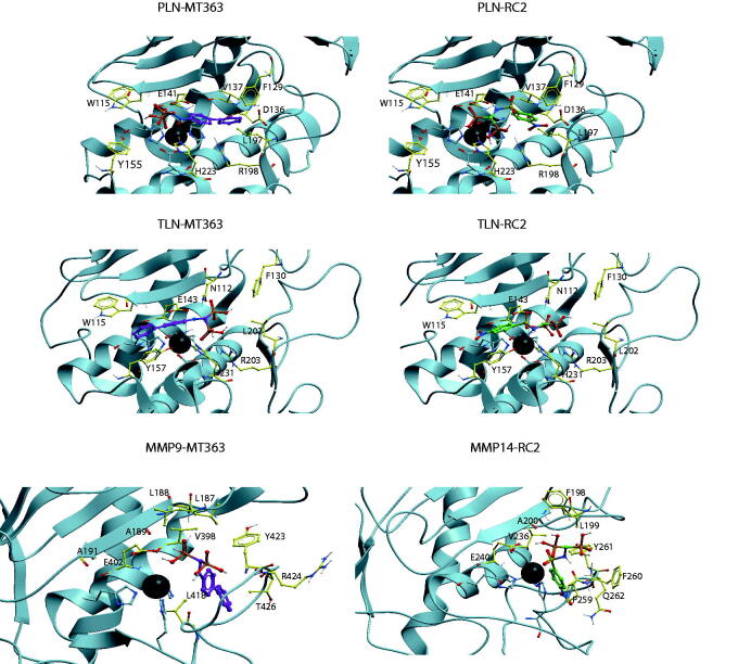 Figure 5.