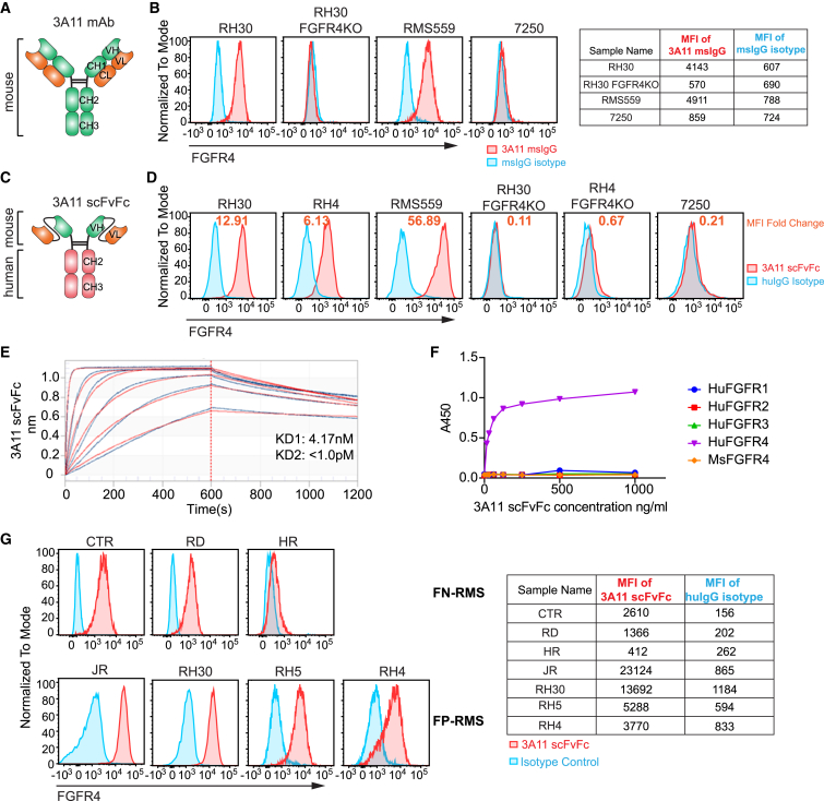 Figure 3