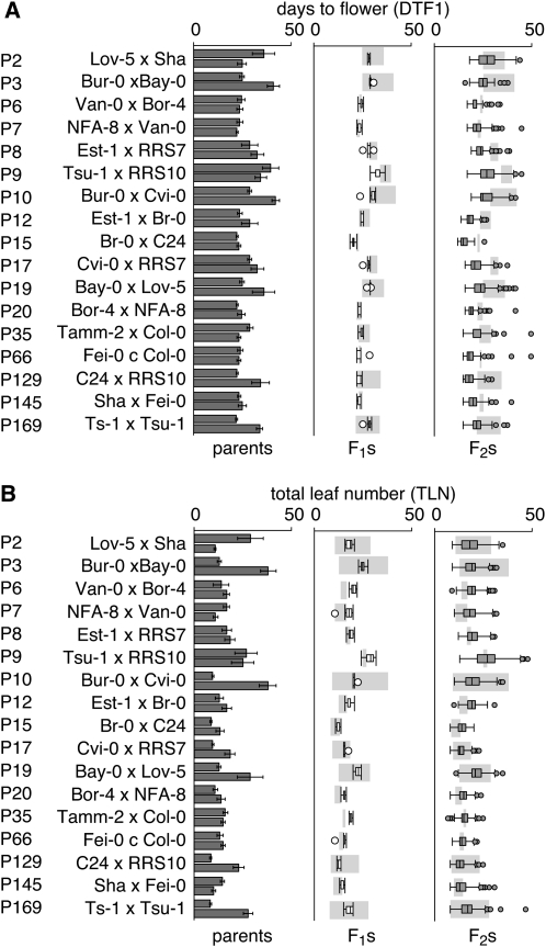 Figure 2.—