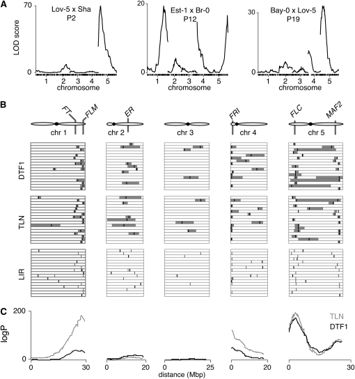 Figure 3.—