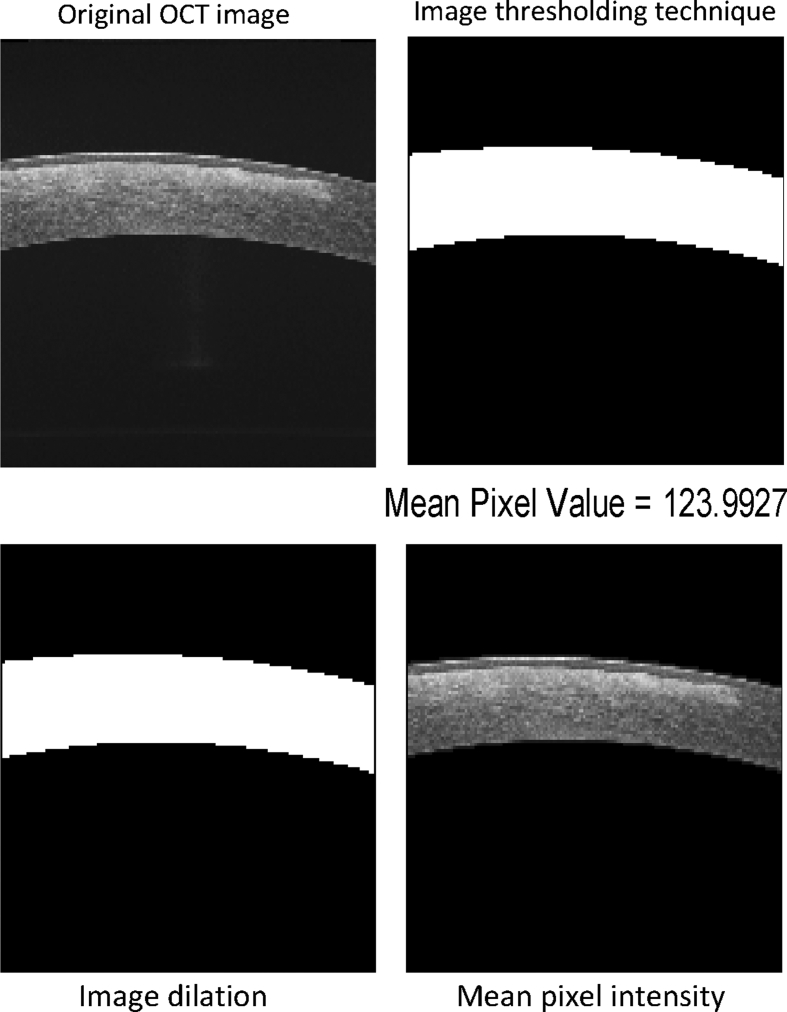 Fig. 1